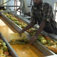 Fruits processing service
