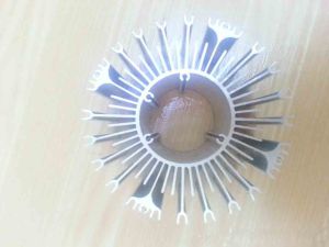 Durable Casting Lamp Radiator