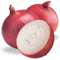 fresh onion