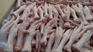 frozen chicken feet, Condition : Fresh