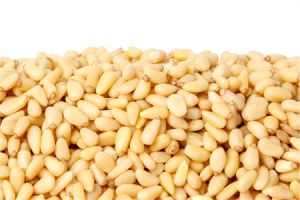 pine nuts,  Packaging Type : PP Bag, Loose