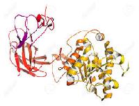 complex enzyme