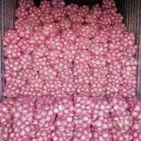 Fresh Bellary Onion