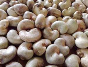 Dried Raw Cashew Nuts