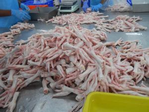 frozen chicken feet