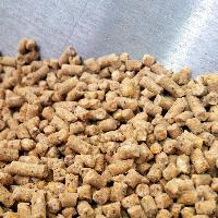 cattle feed ingredients