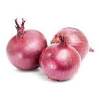 Fresh Small Onions