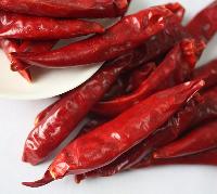 Slight Hot Chili Pepper