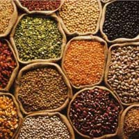 All Indian Pulses