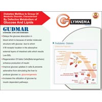 Gymnema 500 MG Tablets