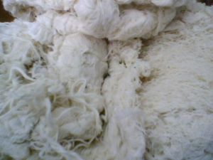 Cotton Waste Yarn