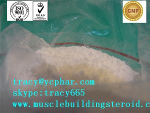 Dehydroisoandrosterone 3-acetate, Packaging Type : White