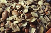 Irvingia Gobonesis Herbal Seed Extract