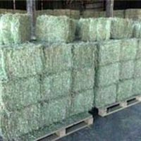 Timothy Hay and Bermuda Hay Now In Stock.