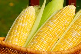 Corn Corn