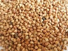 Roasted Buckwheat Kernel