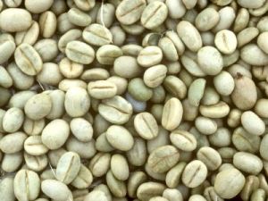 arabica coffee beans