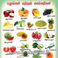 Fruits & Vegetables Chart in Tamil