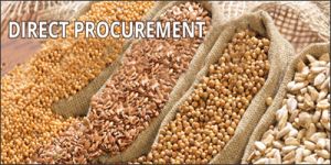 Procurement Services