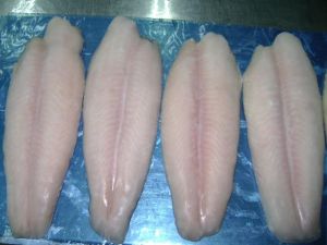Frozen Pangasius Fillet