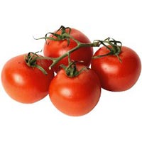 tomato concentrate