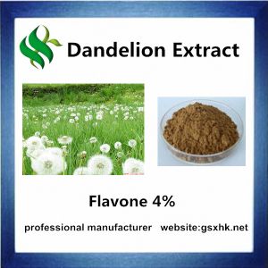 Dandelion Extract