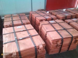 copper cathodes