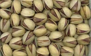 Raw Pistachio Nuts