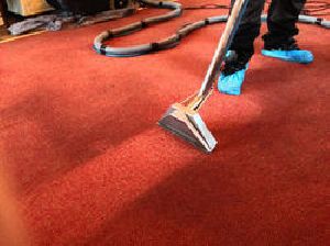 Carpet Treatment Services