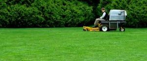 Lawn Care & Treatment Services