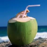 Coconut