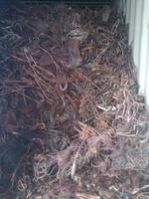copper scrap