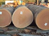 Aniegre Wood Logs
