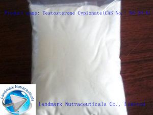 Waste Management & Pollution Control Services