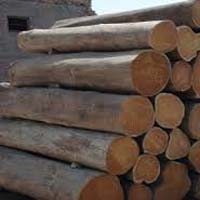 Sudan Teak Wood