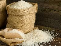 basmati rice grain