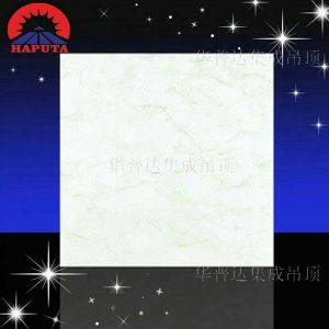 Aluminum Ceiling Tiles
