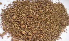 Rape Seed Meal