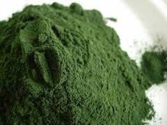Seaweed Powder