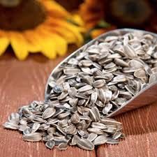 White Striped Sunflower Seeds Bird Seeds Meal