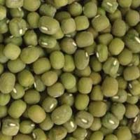 Green Mung Bean