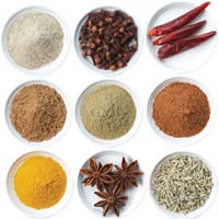 indian spices