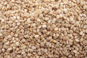 sesame seeds