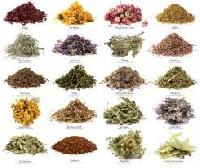 ayurvedic raw herbs