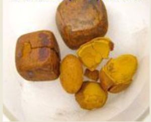 Ox Gallstones Ox Gallstones