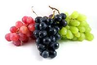 fresh grapes