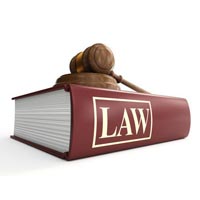Company Law Services