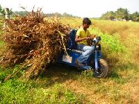 Eco Bull Vehicle