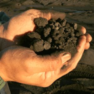 Petroleum Coke in Saudi Arabia,Petroleum Coke Manufacturers & Suppliers