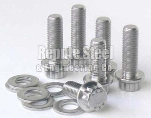 Stainless Steel Fastener